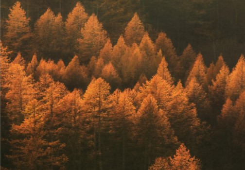 AUTUMN CLEAN‑UP: RECYCLE YOUR USED CARTRIDGES WITH US!