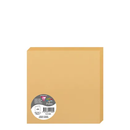 Pollen Cards 160x160mm (210gr) CARAMEL