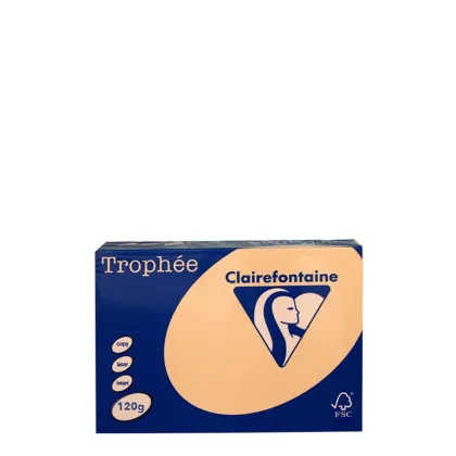 A4 120gr Apricot