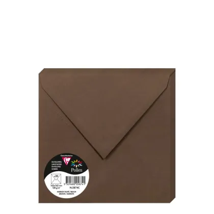 Pollen Envelopes 165x165mm (120gr) BROWN