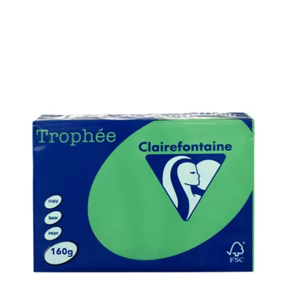 A3 160gr Green Billiard