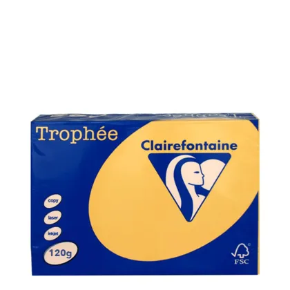 A3 120gr Gold