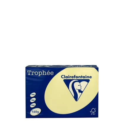 A4 160gr Canary