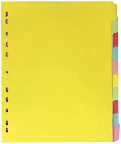 LION KARTON DIVIDER 10-TABS