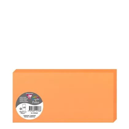 Pollen Cards 106x213mm (210gr) ORANGE