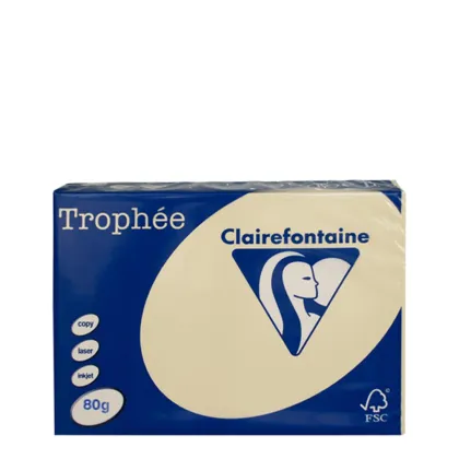 A3 80gr Chamois