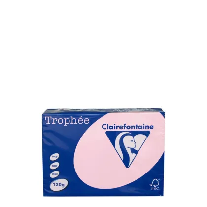 A4 120gr Pink