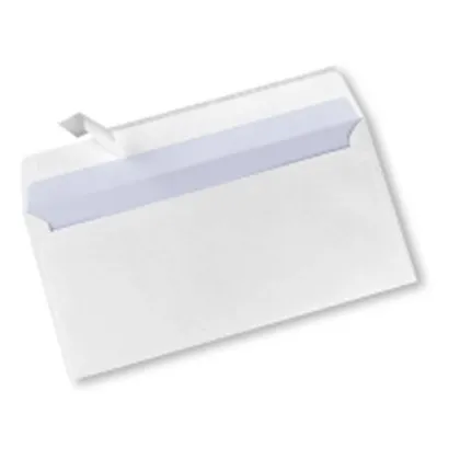 WHITE ENVELOPES 110X220MM B110220P/EV0188097 1000PCS