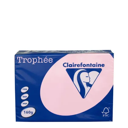 A3 160gr Pink
