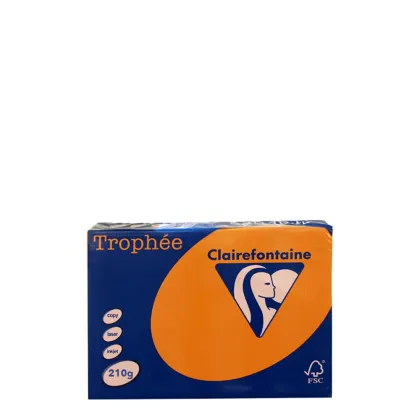A4 210gr Flame