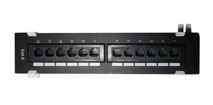 DigitMX NETPRO NP-CPP12C6W 12 Port CAT6 Wall Patch Panel