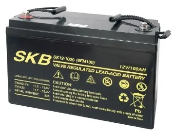 SKB Lead Acid Battery 12V 100AH SK12-100S
