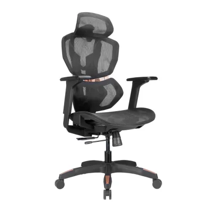 Lumivida Gaming/Office Chair Ergonomic Mesh Lumbar Support Adjustable Seat/Armrest CH09-8 Black