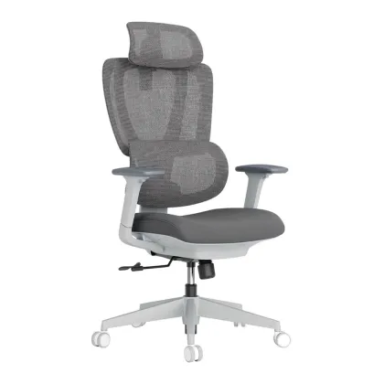 Lumivida Office Chair Ergonomic Mesh Lumbar Support Adjustable Seat/Armrest CH10-26 Grey