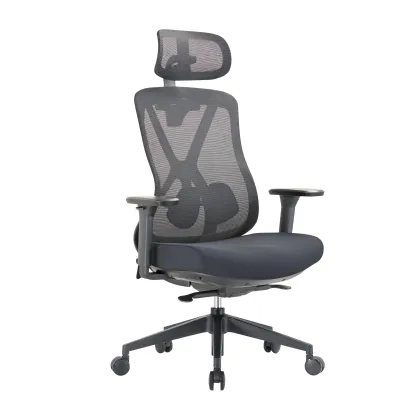 Lumivida Office Chair Ergonomic Mesh Lumbar Support Adjustable Seat/Armrest OCH01-5 Black