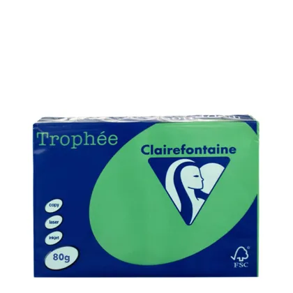 A3 80gr Green Billiard