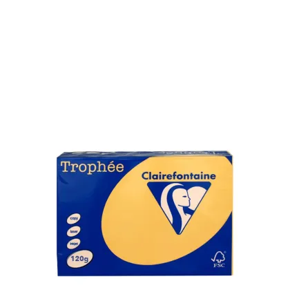 A4 120gr Gold