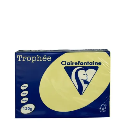 A3 120gr Daffodil