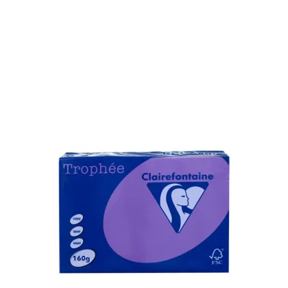 A4 160gr Lilac Intensive