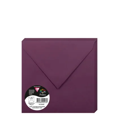 Pollen Envelopes 165x165mm (120gr) CASSIS