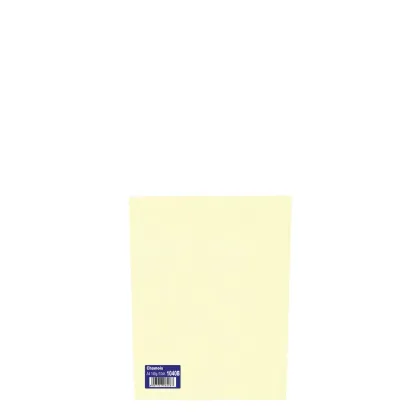 Mini Pack A4/160gr (10sh) Chamois