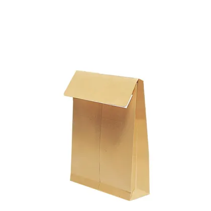 Pocket Envelopes Kraft 130gr. (280x365mm) side gusset 7cm