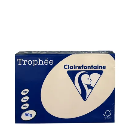A3 80gr Cream
