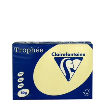 A3 80gr Canary