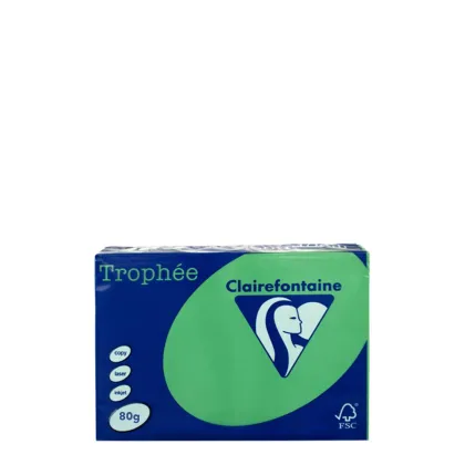 A4 80gr Green Billiard