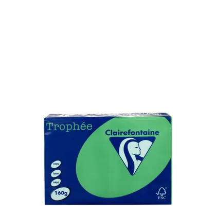 A4 160gr Green Billiard