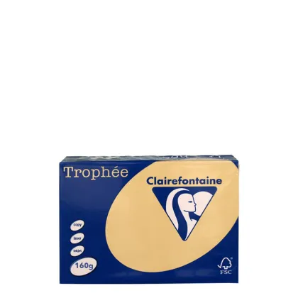 A4 160gr Caramel
