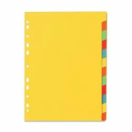 LION KARTON DIVIDER 12-TABS