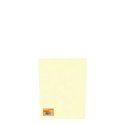 Mini Pack A4/80gr (10sh) Chamois
