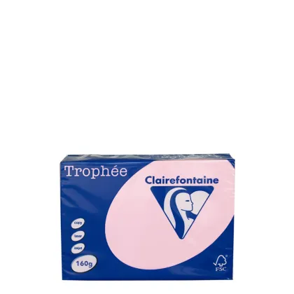 A4 160gr Pink