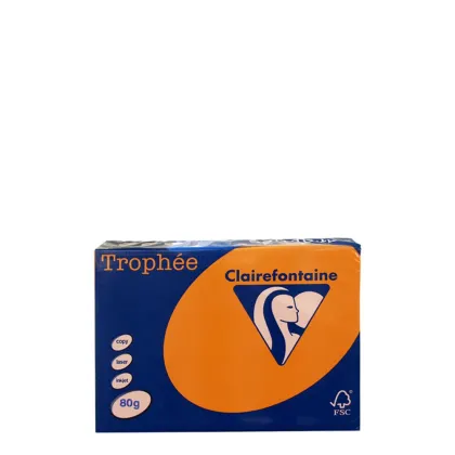 A4 80gr Flame