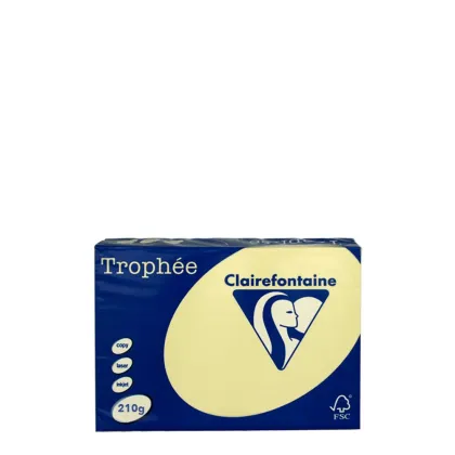A4 210gr Canary