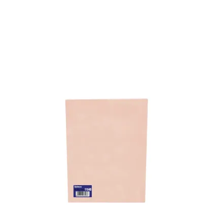 Mini Pack A4/160gr (10sh) Salmon