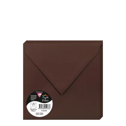 Pollen Envelopes 165x165mm (120gr) CACAO