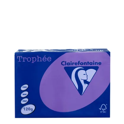 A3 120gr Lilac Intensive