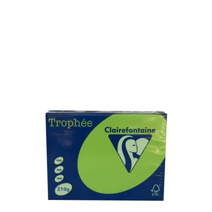 A4 210gr Green Intensive