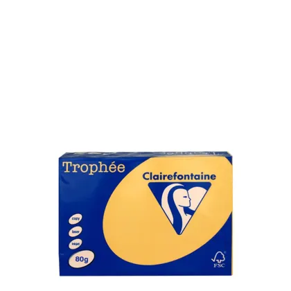 A4 80gr Gold
