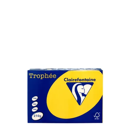 A4 210gr Sunflower