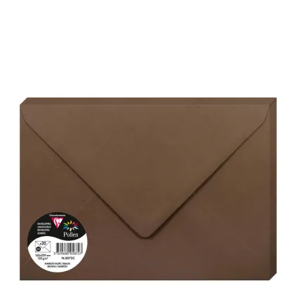 Pollen Envelopes 162x229mm (120gr) BROWN