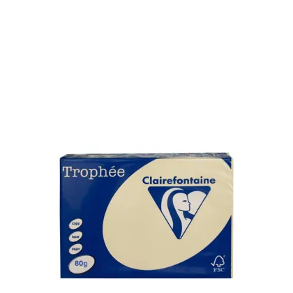 A4 80gr Chamois