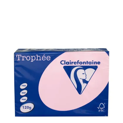 A3 120gr Pink