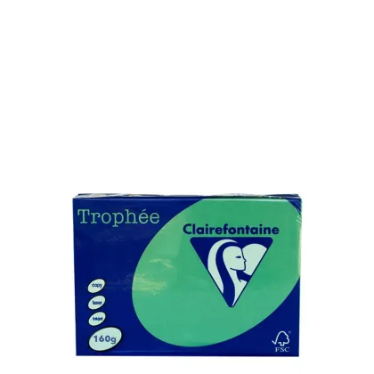 A4 160gr Green Forest