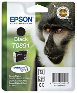 EPSON T0891 ORIGINAL BLACK INK