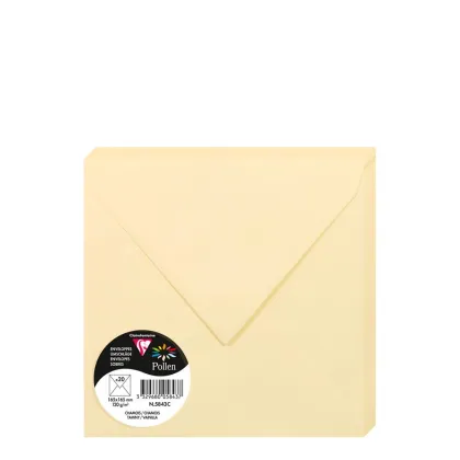 Pollen Envelopes 165x165mm (120gr) CHAMOIS