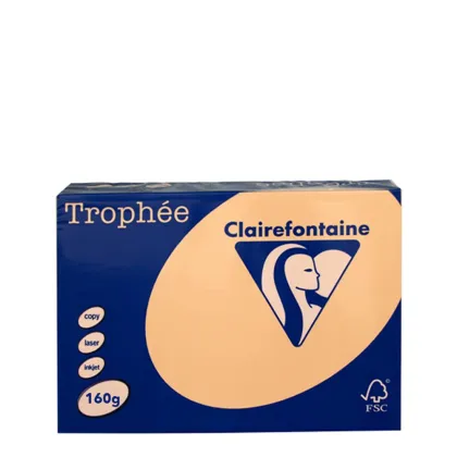 A3 160gr Apricot