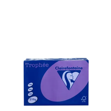 A4 210gr Lilac Intensive